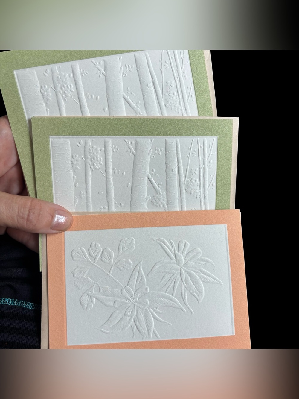 ~BUNDLE ONLY~3 VTG Current Inc Embossed Cards - Echos of the West Jay Johnson